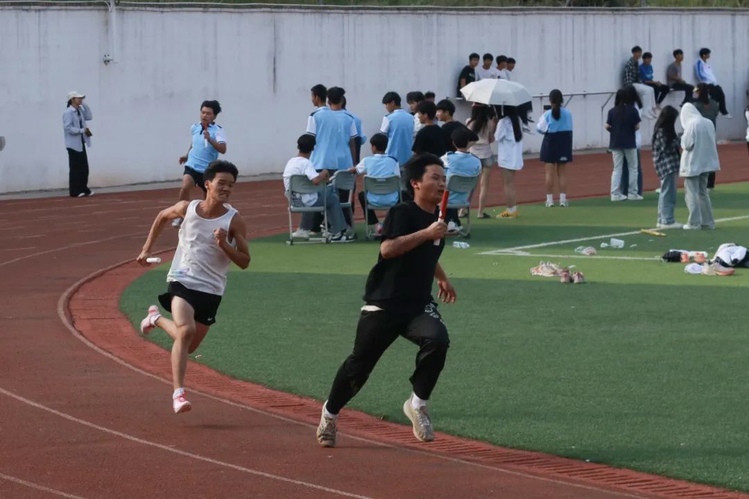 1739845335848446.jpg 1739845335848446.jpg